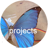 projects